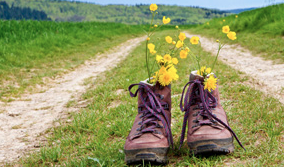 Bildschirmfoto 2018-03-12 um 20.33.55